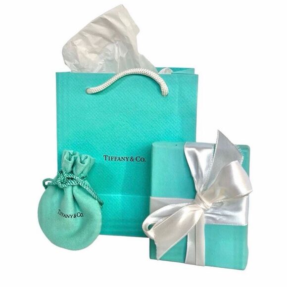 Tiffany & Co Return To Tiffany Oval Tag Choker Necklace- 925 Silver - 15.5" - Picture 7 of 16